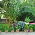 Palm Court 2* Ayvalı