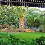 Palm Court Ayvalı
