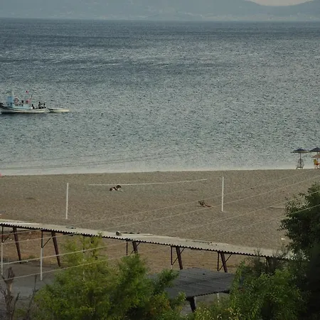 Palm Court فندق مبيت وإفطار 3*