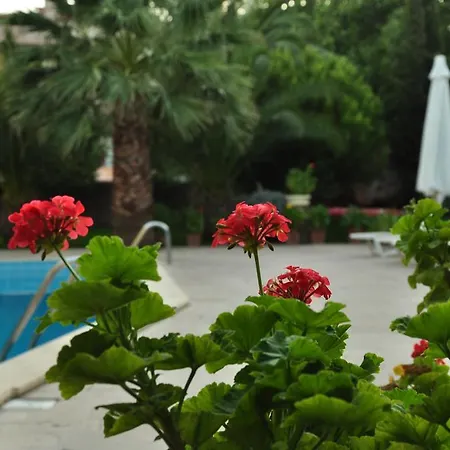 Palm Court 3* Küçükköy