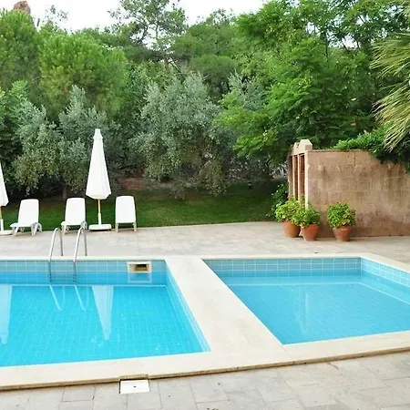 فندق مبيت وإفطار Palm Court 3*