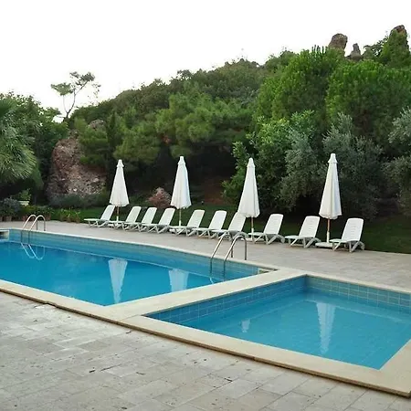 Palm Court فندق مبيت وإفطار