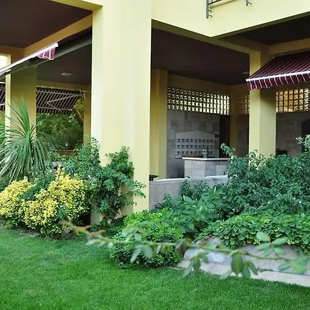 فندق مبيت وإفطار Palm Court 3*