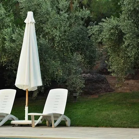 Palm Court فندق مبيت وإفطار Küçükköy