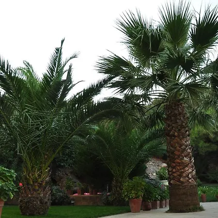 Palm Court