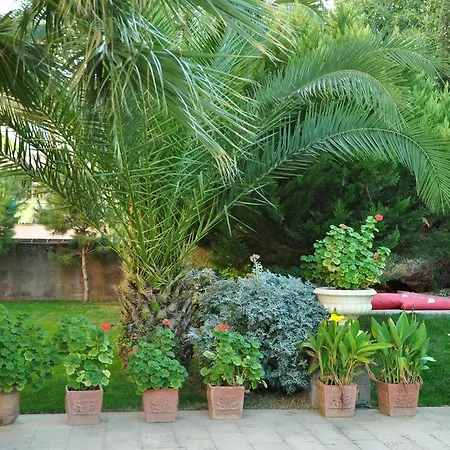 Palm Court 3* Küçükköy