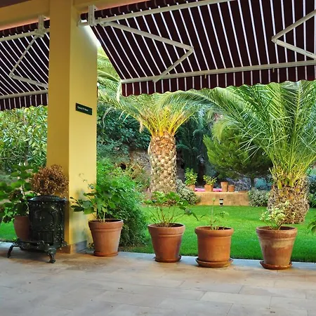 فندق مبيت وإفطار Palm Court