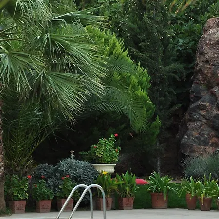 Palm Court فندق مبيت وإفطار Küçükköy