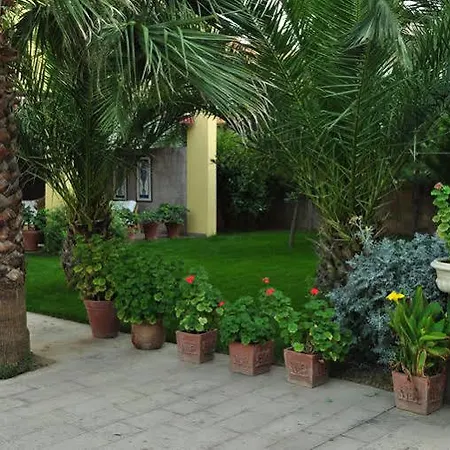 فندق مبيت وإفطار Palm Court