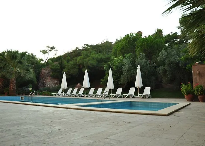 Bed and Breakfast Palm Court