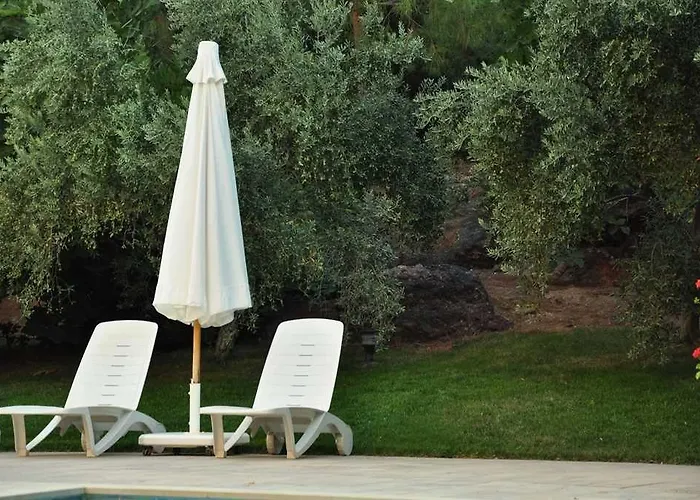 Palm Court Bed and Breakfast Küçükköy