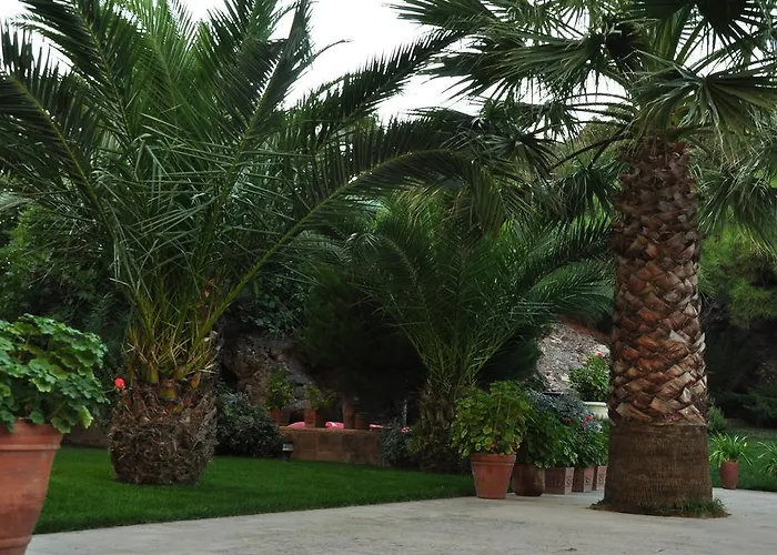 Palm Court Küçükköy