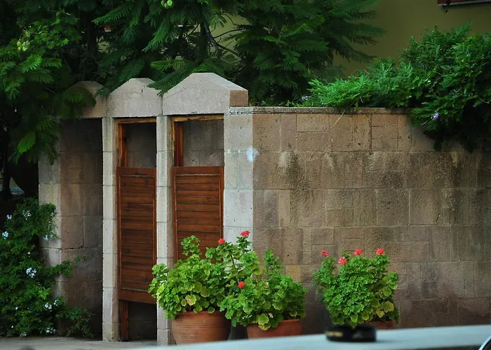 Bed and Breakfast Palm Court 3*