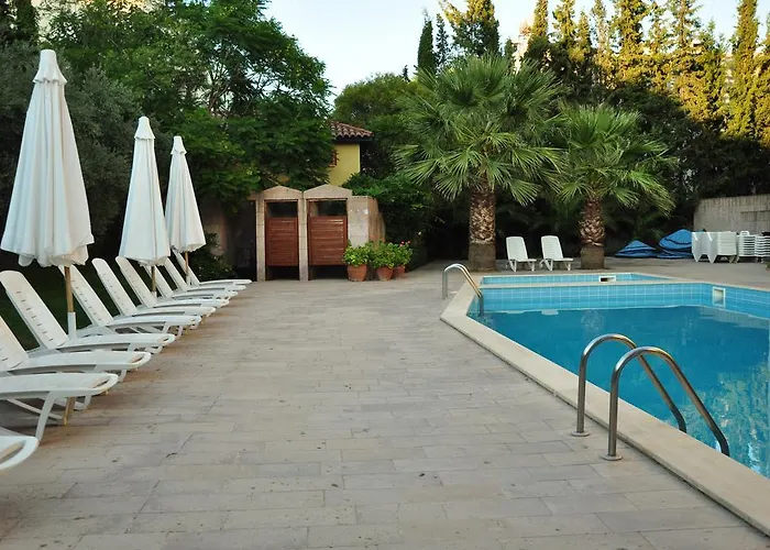 Palm Court Bed and Breakfast