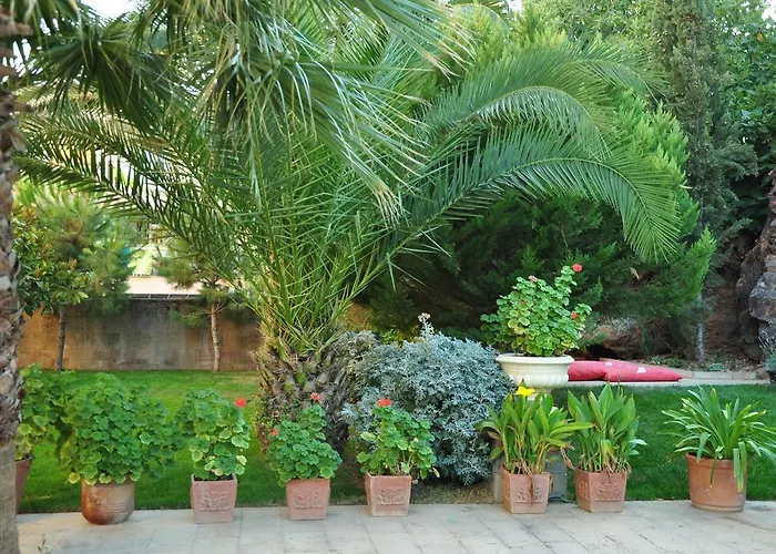 Palm Court 3* Küçükköy