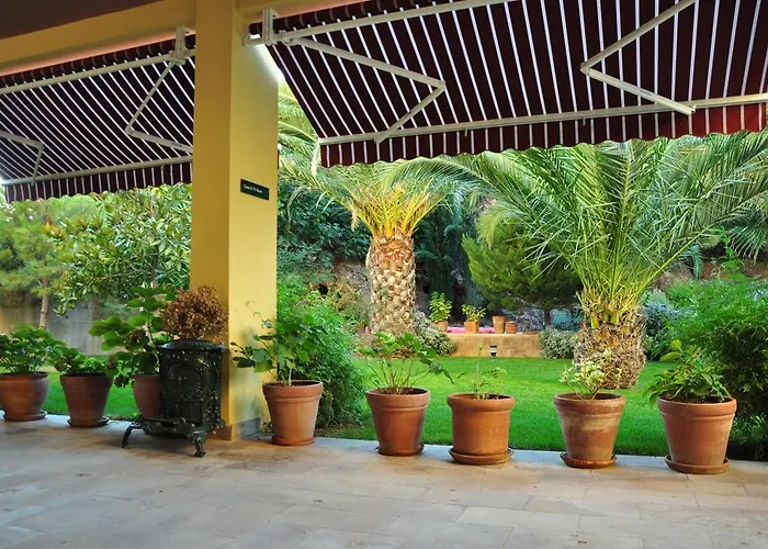 Bed & Breakfast Palm Court