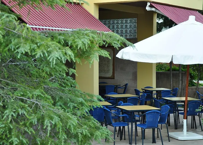 Palm Court Bed & Breakfast