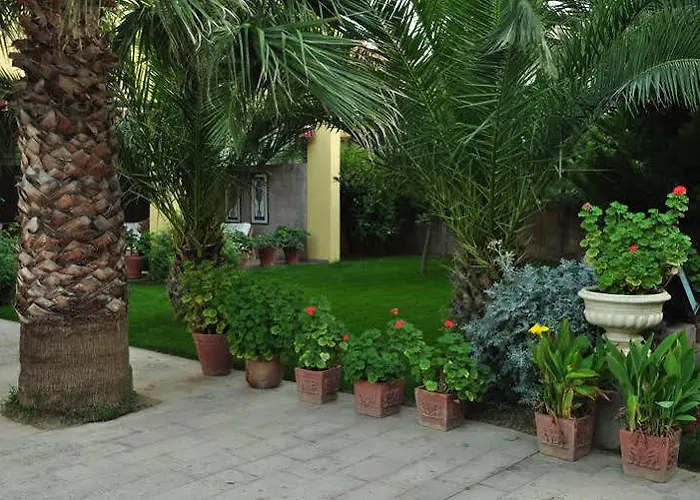 Bed and Breakfast Palm Court