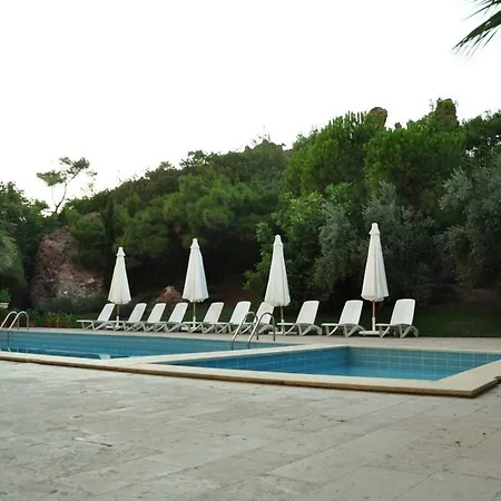 Hotel Palm Court