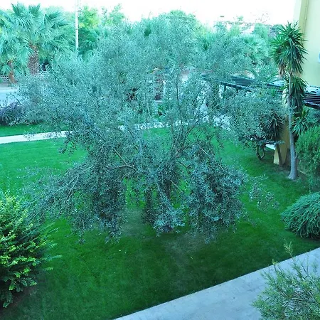 Palm Court Bed & Breakfast