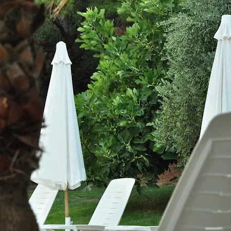 Palm Court Ayvalı