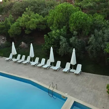 Palm Court Hotel Ayvalı