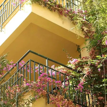 Hotel Palm Court