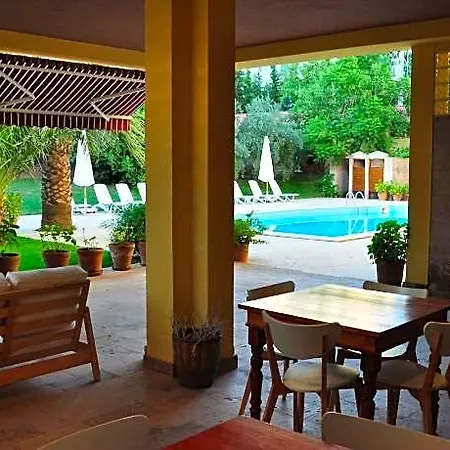 Palm Court فندق