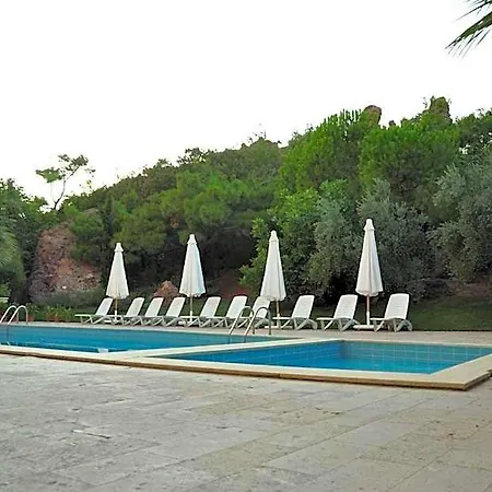 Palm Court Ayvalı