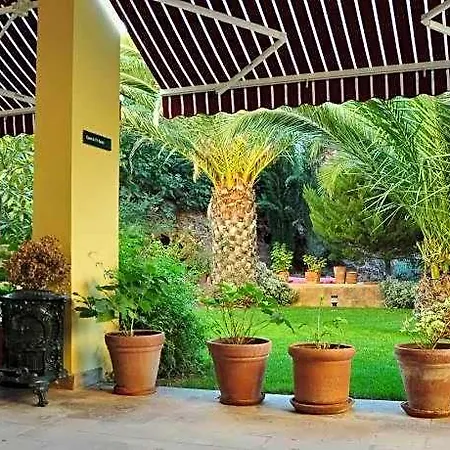 Palm Court 2*