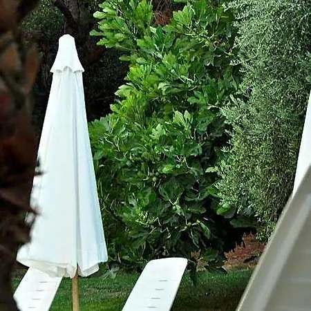 Palm Court Szálloda Ayvalı