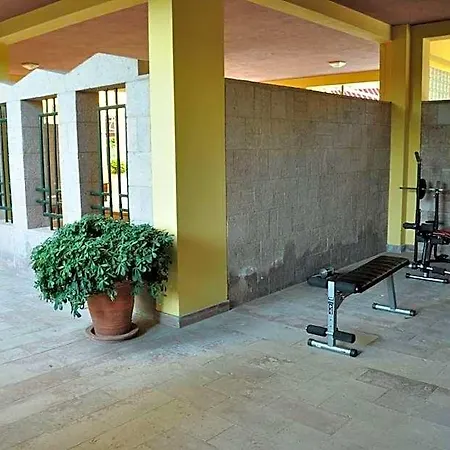Palm Court 2*