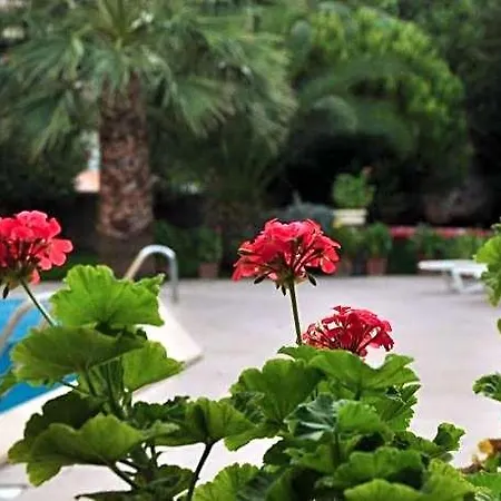 Palm Court