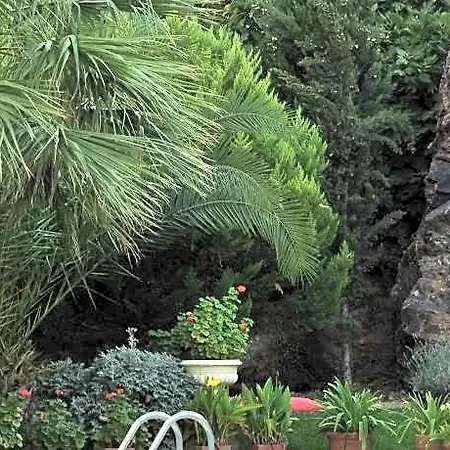 Palm Court