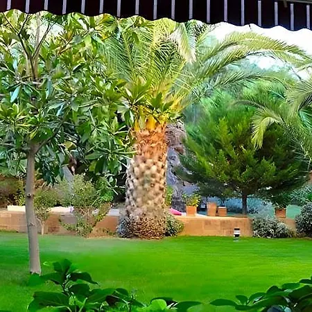 Palm Court Szálloda Ayvalı