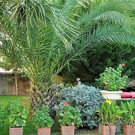Palm Court 2*