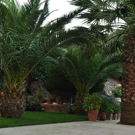 Palm Court Ayvalı