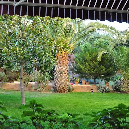 Palm Court Ayvalı