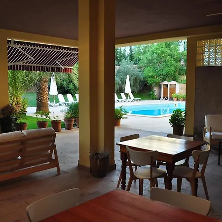 Palm Court Panzió 3*
