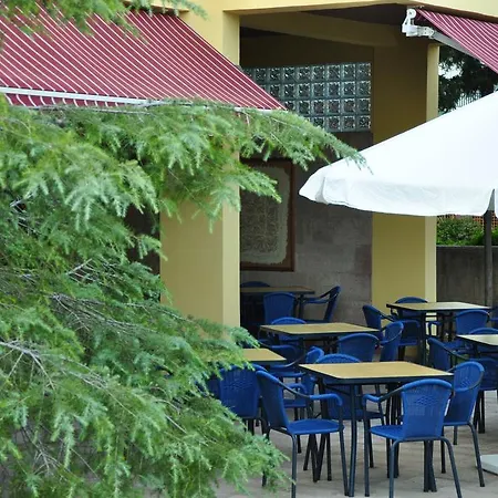 Palm Court Bed & Breakfast