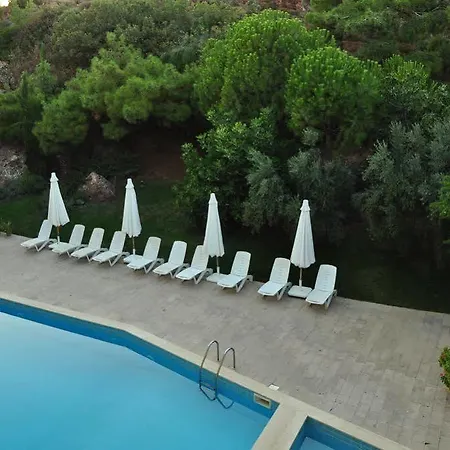 Panzió Palm Court Ayvalı