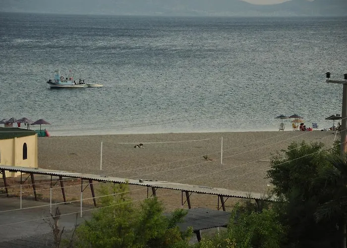 Palm Court Bed & Breakfast 3*