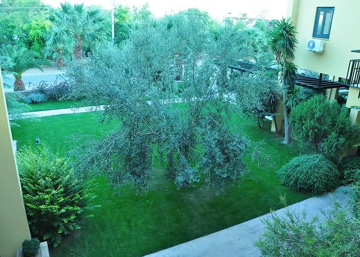 Palm Court Bed & Breakfast