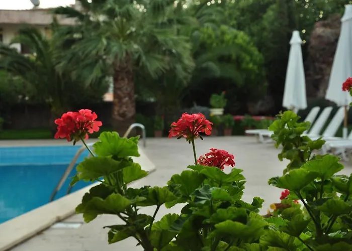 Palm Court 3* Kucukkoy (Balikesir)