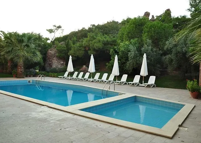 Palm Court Bed & Breakfast